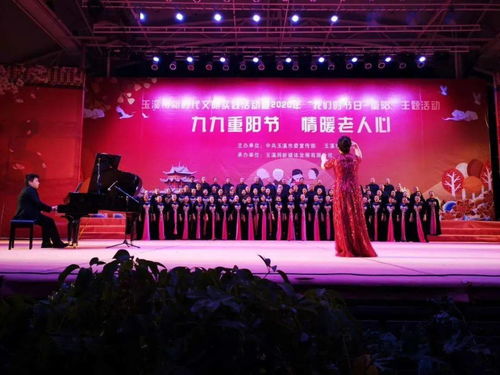 玉溪市文化館群苑合唱團(tuán)閃耀2020年‘我們的節(jié)日·重陽’文藝晚會暨文化藝術(shù)交流活動