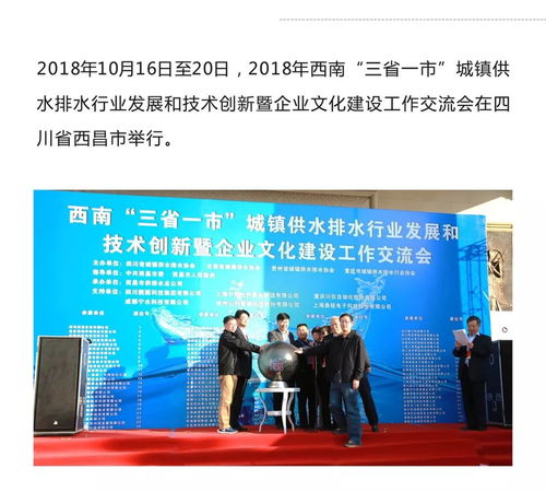 靚固集團參與2018年西南三省一市城鎮供水排水行業發展與技術交流會，推動企業文化建設與藝術交流